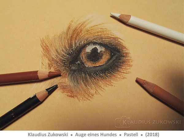 Auge (Pastellstifte) von Klaudius Zukowski - Lust auf Kunst - Zeichnen lernen - Bad Driburg - Dringenberg